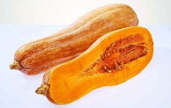 65.南瓜